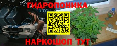 соль ск Пушкино